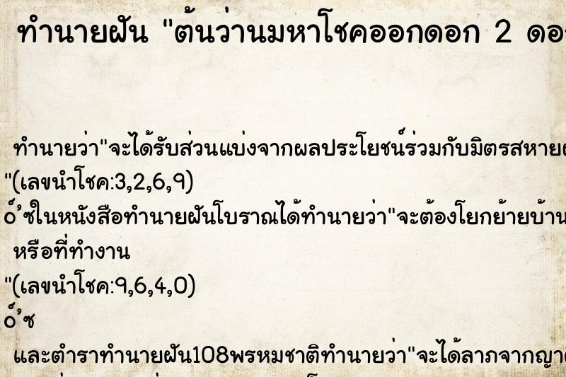 ทำนายฝันต้นว่านมหาโชคออกดอก2ดอก ทำนายฝันทำนายฝันต้นว่านมหาโชคออกดอก2ดอก